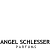 Angel Schlesser