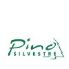 Pino Silvestre