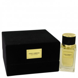 Dolce & Gabbana Velvet Patchouli by Dolce & Gabbana