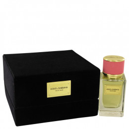 Dolce & Gabbana Velvet Rose by Dolce & Gabbana