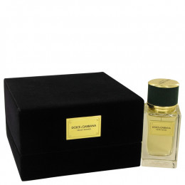 Dolce & Gabbana Velvet Vetiver by Dolce & Gabbana